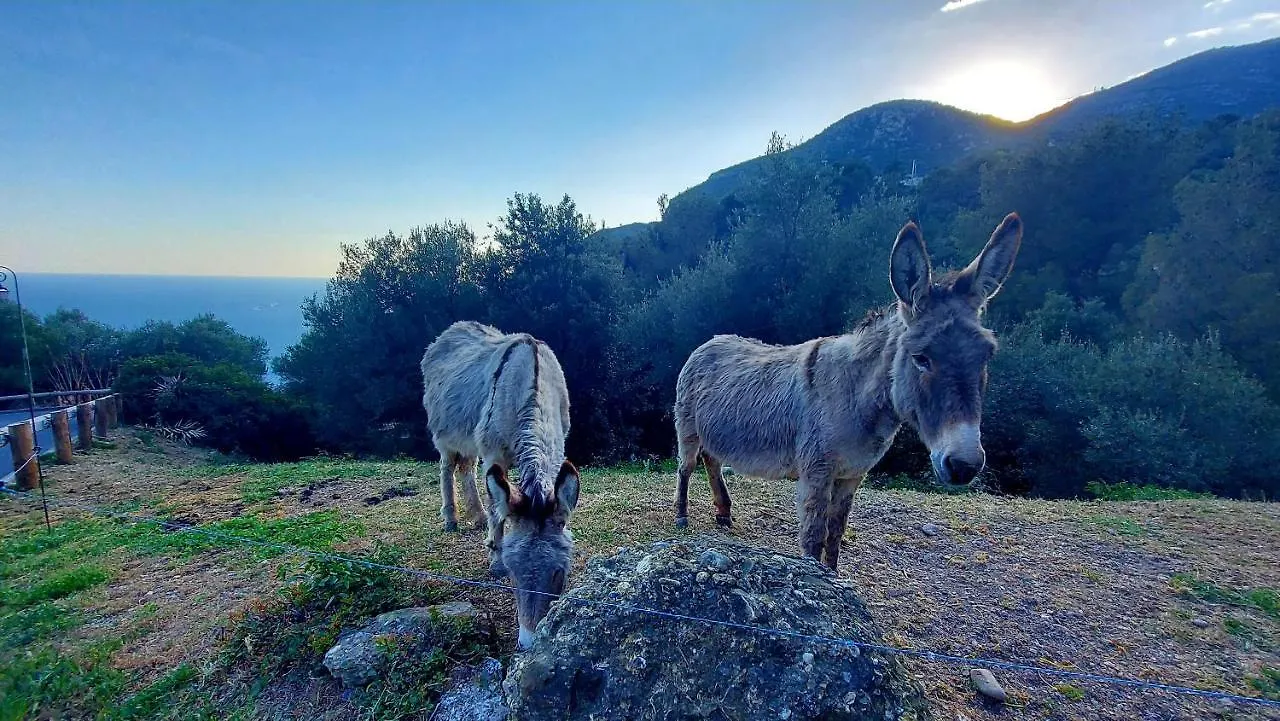 Bed & Breakfast La Bomboniere & Spa Roquebrune-Cap-Martin